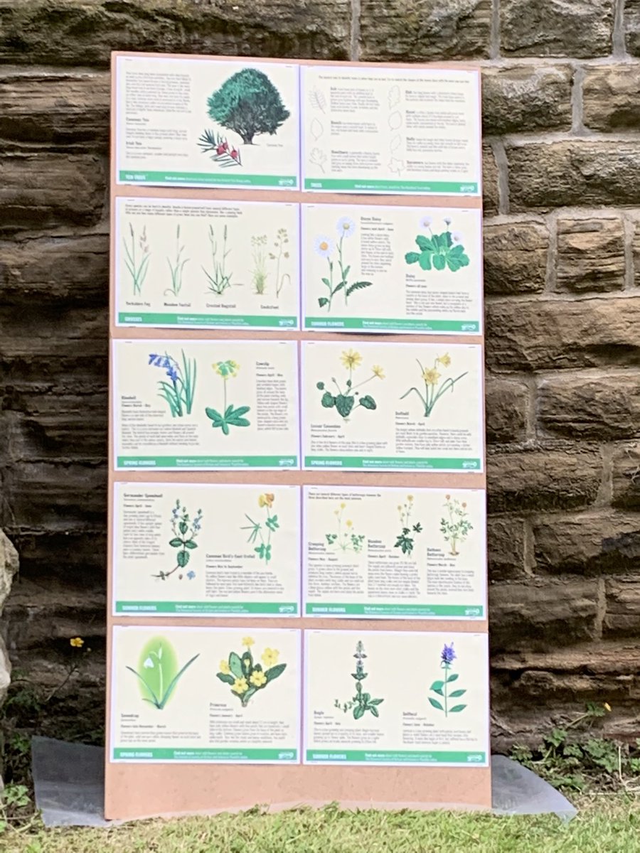 stbartsOW's tweet photo. This weekend our churchyard continues to be open for Churches count for nature. Come along and see what you can spot @DioceseofDerby @DerbysWildlife https://t.co/i2919Yj5KZ