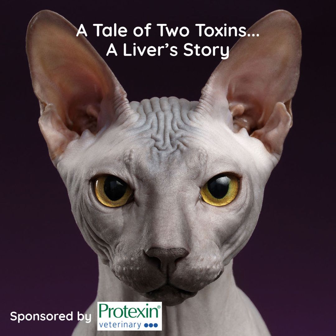 vtx_cpd's tweet photo. vtx:webinar     FREE LIVE WEBINAR

Title: A Tale of Two Toxins... A Liver's Story
Date: 17th June 2021 @ 8pm BST
Register here: https://t.co/NCI6jLhWz0

The liver is central to so many important functions within the body, but can often be the victim  toxic insults.

#vtx #vtx_cpd https://t.co/h76KvokzWW