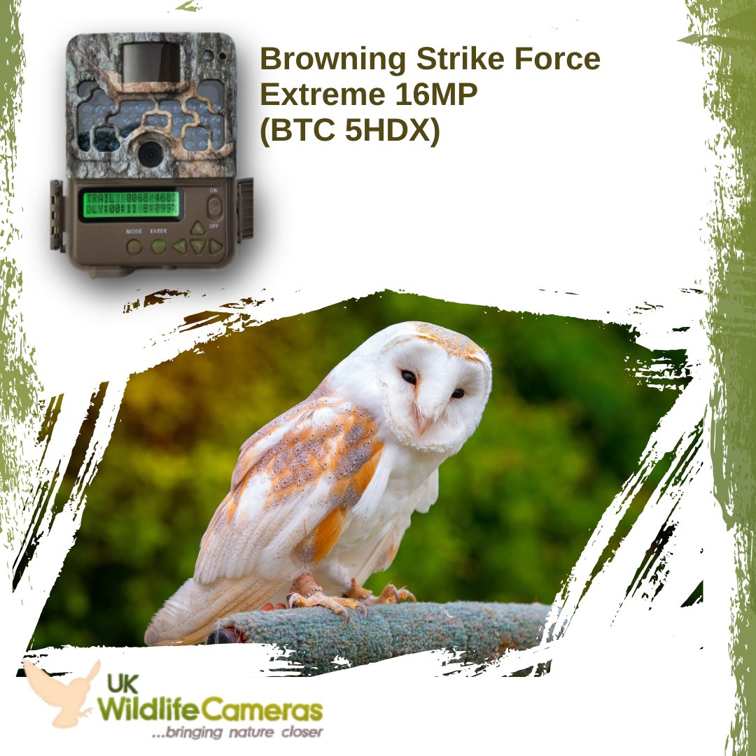 The Browning Strike Force Extreme is a 16-megapixel trail camera that offers especially solid night vision image and video capture capabilities to keep amateurs and pros alike happy.

Visit our website for more! ukwildlifecameras.co.uk

#wildlife #nature #trailcams