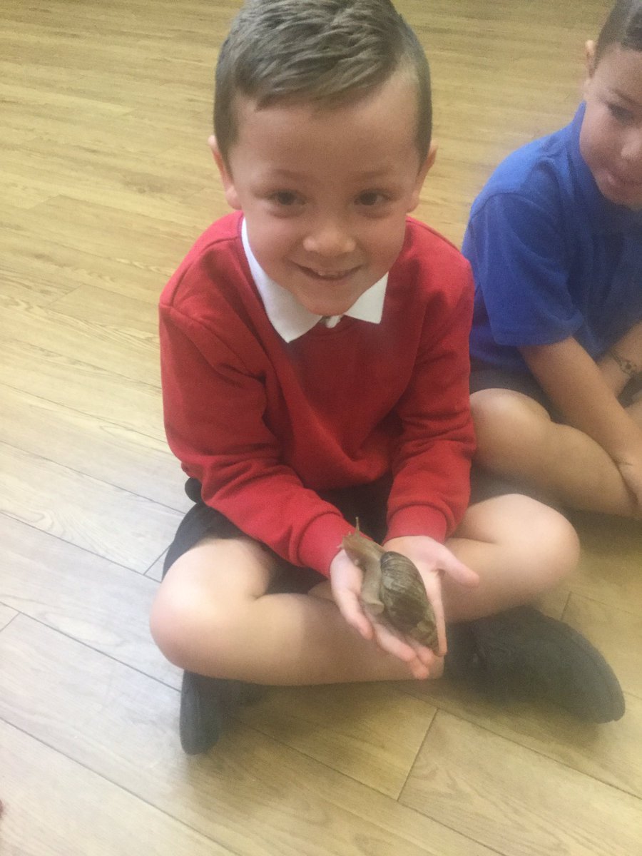 WinningtonPPS's tweet photo. EYFS Mini beast workshop #animalstakeover https://t.co/ZNcbYsY1U2