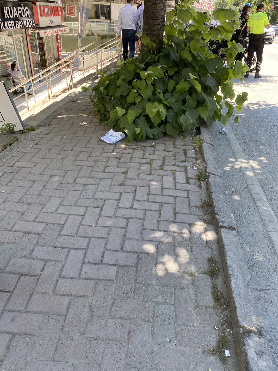 ⁦<a href="/istanbulbld/">İstanbul Büyükşehir Belediyesi</a>⁩ ⁦<a href="/bkrbld/">Bakırköy Belediyesi</a>⁩ İncirli caddesi yeşillendirme çalışması mı,çalışma ması mı?Sevinelim mi?Üzülelim mi?