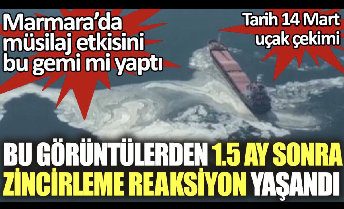 Müsilaj araştırılsın önergesinin AKP ve MHP oylarıyla reddedilmesinin sebebi buymuş meğer!
Kanal İstanbul projesi için denizi öldürdünüz!
Sahi siz insan mısınız?
#SusanSuçaOrtaktır