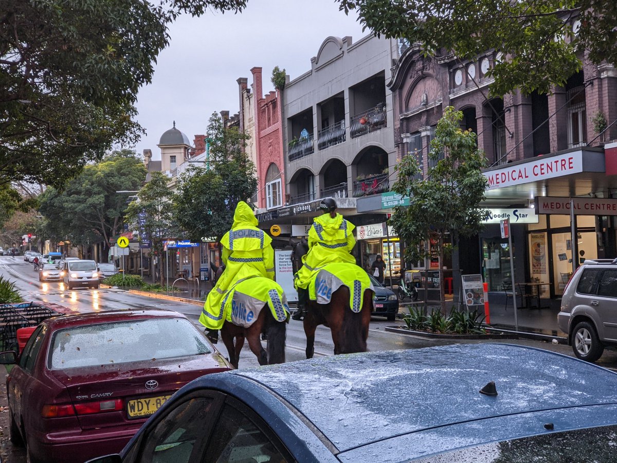 Scott Buckley tweet media