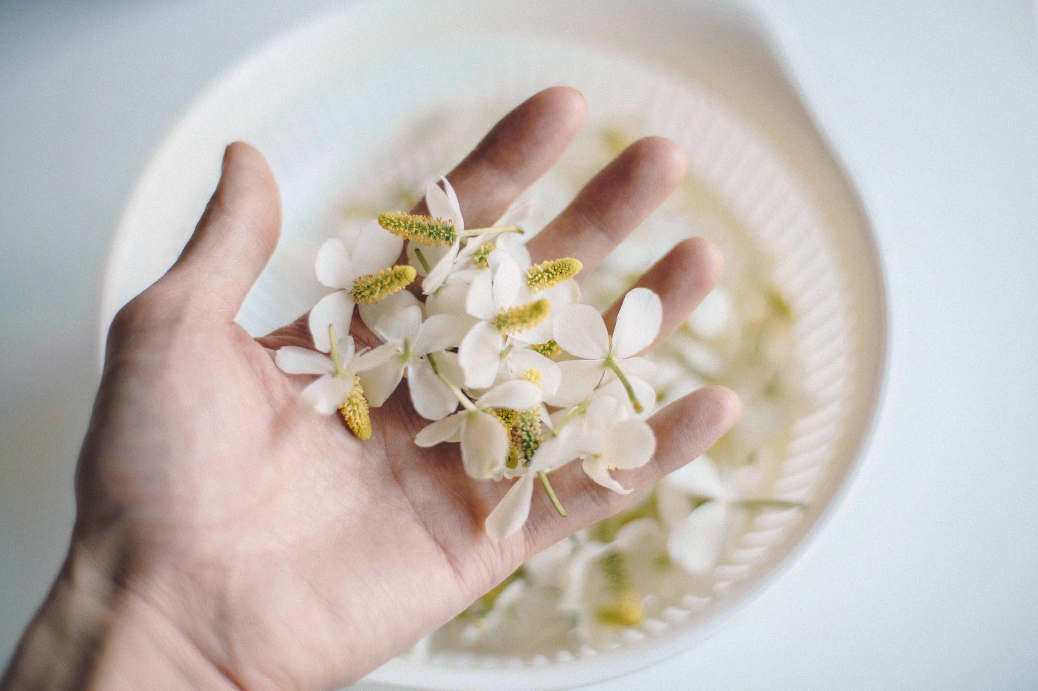 おばあちゃんの知恵袋は偉大！ドクダミの花を焼酎に付け込むとかゆみ止めになる！