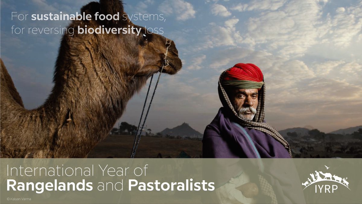 International Year of Rangelands and Pastoralists tweet media
