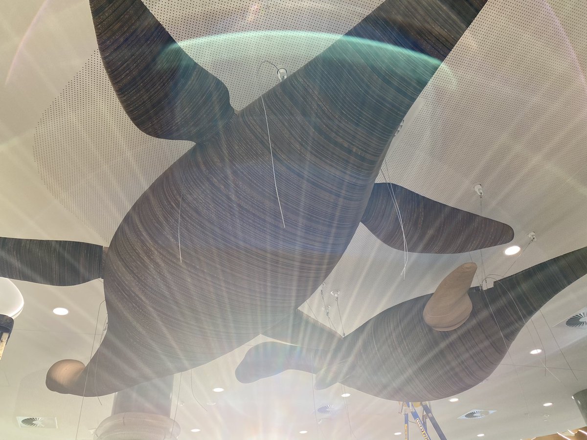 mmderrick's tweet image. I like this view, that afternoon sun was fabulous.