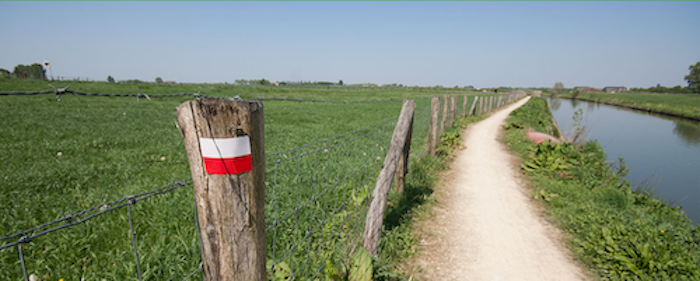 Kom jij ons Wandelnet-team versterken als marketeer? We willen graag nóg beter inspelen op de populariteit van wandelen. 
#wandelen #marketing
wandelnet.nl/werken-bij-wan…