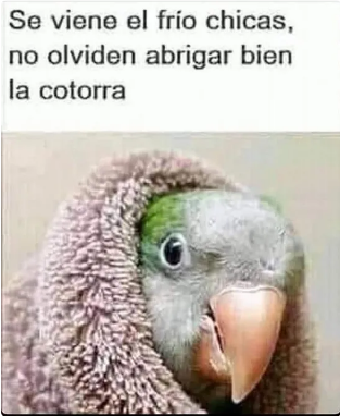 muyfernando's tweet photo. https://t.co/CO3U2KmAEQ