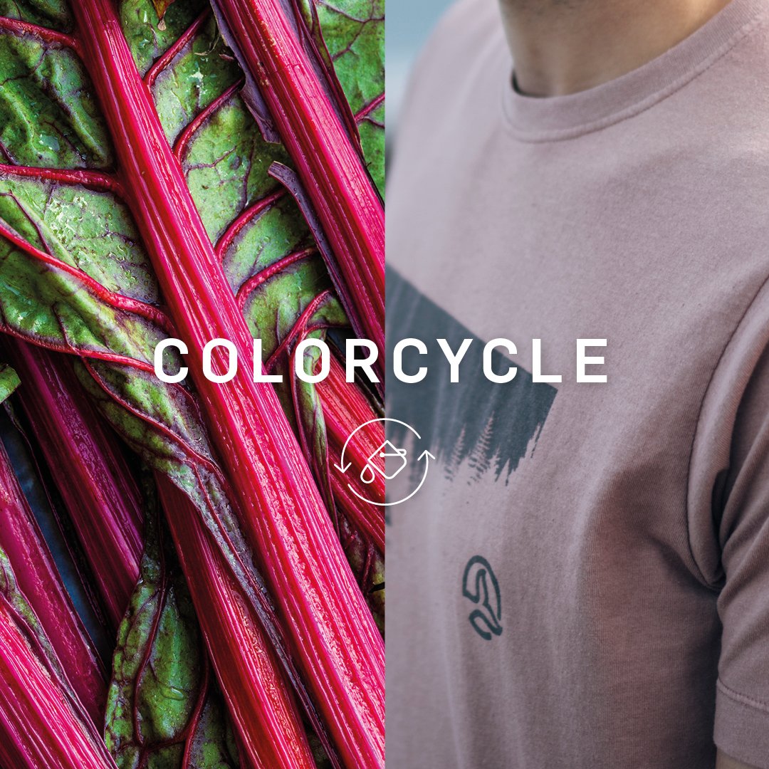 ternua's tweet photo. Residuos de remolacha, olivas, cáscaras de nuez y de castaña 🌿 Estos son algunos de los residuos agrícolas que transformamos en tintes naturales para nuestras prendas. Para conocer más sobre nuestro proyecto #Colorcycle 👉 https://t.co/x3VNu32cvJ https://t.co/ZlpIShwdE7