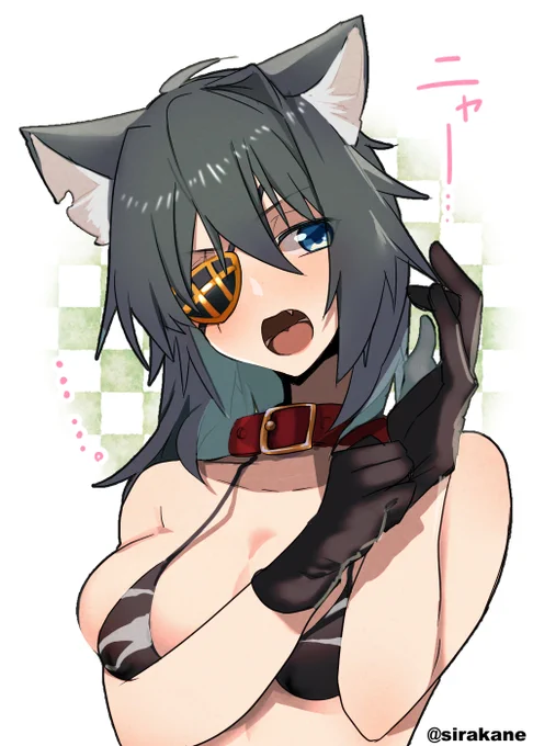 #軽い気持ちで描いたら思った以上に反響があった絵
🐈 