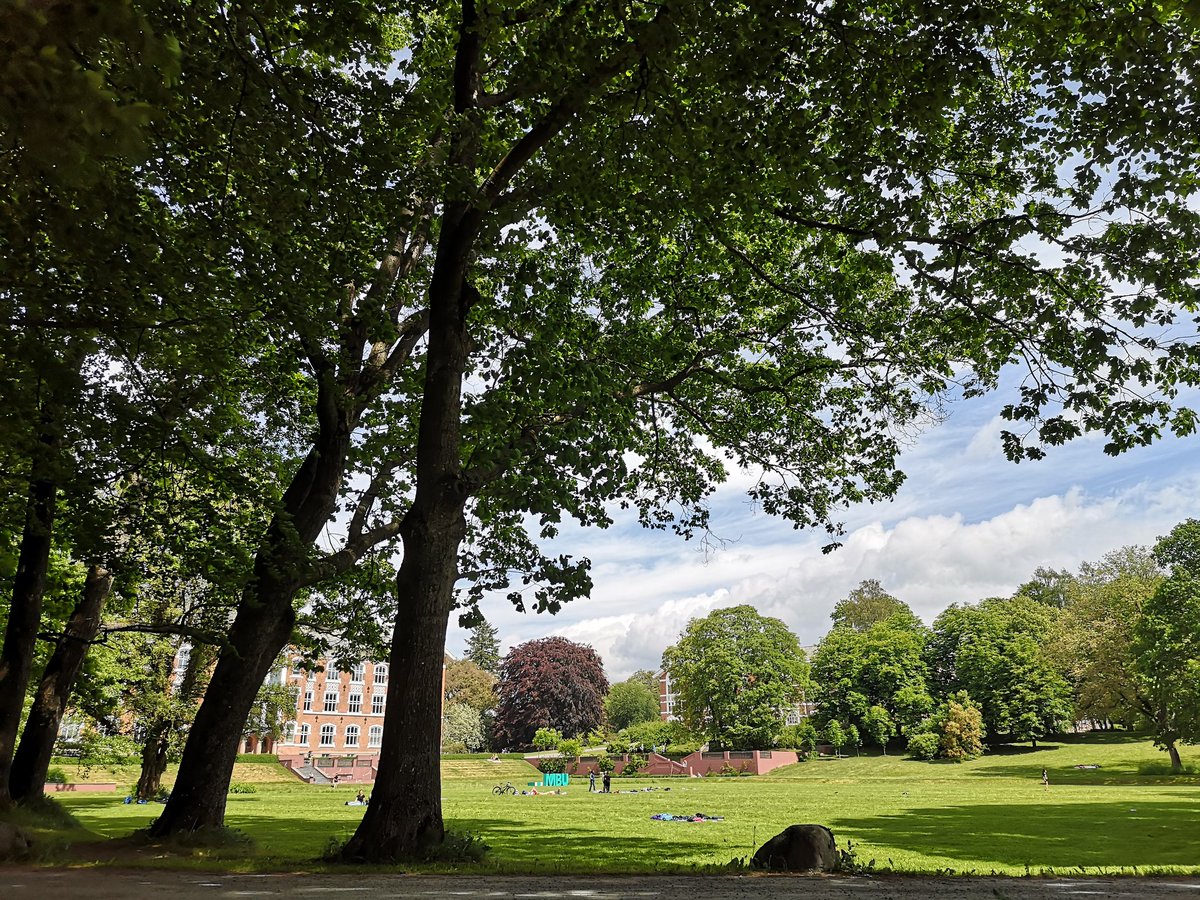 BrurbergMay's tweet photo. Plant pathology course this week with 15 enthusiastic students. So good to meet the student outside the digital platform, and no better place than our beautiful campus that also has treats for plant pathologists

@UniNMBU 
#plantdisease 
#plantpathology https://t.co/ehSJsk3pIO