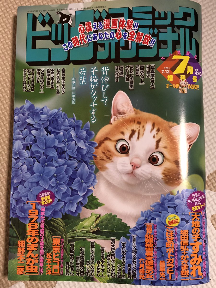 ビッグコミックオリジナル増刊発売中です。「まどいのよそじ」今回は、"奇抜なファッションで若者を虜にした時代の寵児いつの間にかシュッとしたいいオトナになっていがち問題"について。取り残されてやめられぬまま25年を過ごした女性のお話です。どうぞよろしくお願いします。 