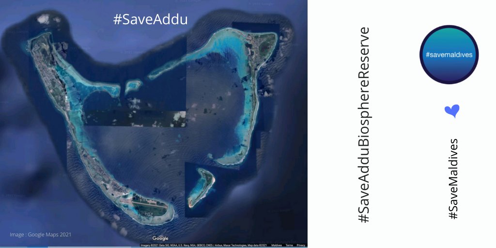 SaveMaldivesMV's tweet photo. @AleeVoice @IllathHassan We are the children of the sea.
We don't want to harm the source of our existence.
No net fishing.
No reclamation.
No ocean pollution.
No more destruction.
No more theft of our natural resources.
ENOUGH !
We want #FishForTomorrow !
#SaveAddu
#SaveMaldives 🌊🐠🌴🐢🦈💙🎣 https://t.co/VZrslo5PQa