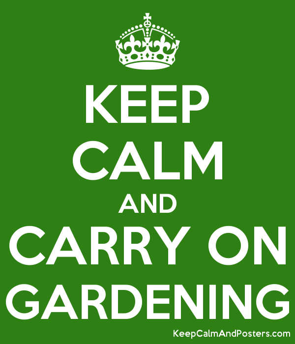 Homebaked Community Land Trust tweet media