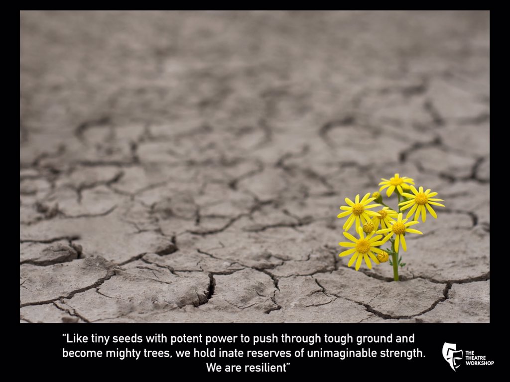 Tickets on sale now for “RESILIENCE” our Advanced Showcase. So excited to get back in a theatre. July 4th, 7:30 <a href="/wtmworthing/">Worthing Theatres and Museum</a> Pavilion Theatre.