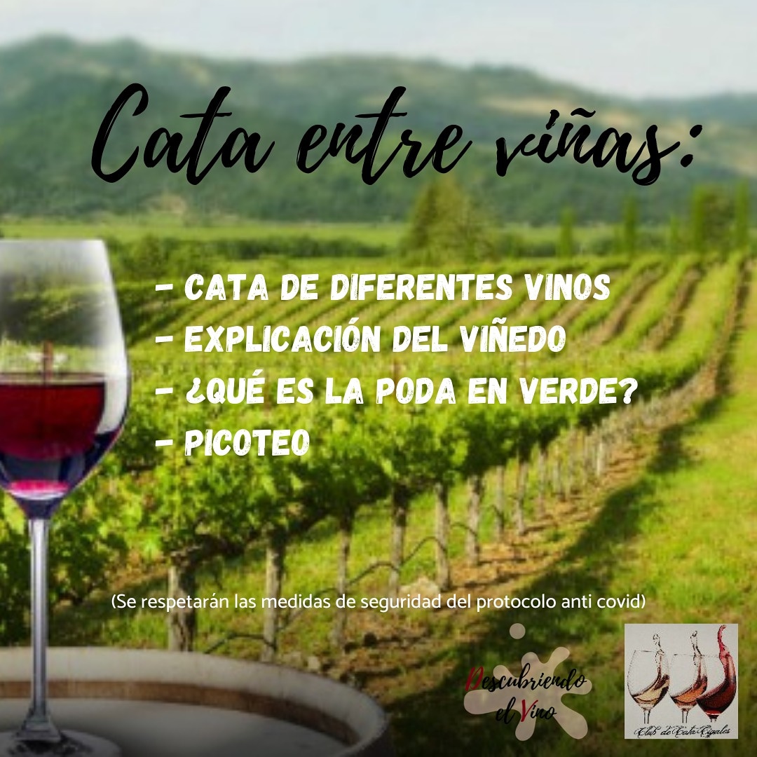 Acaci Club De Cata tweet media