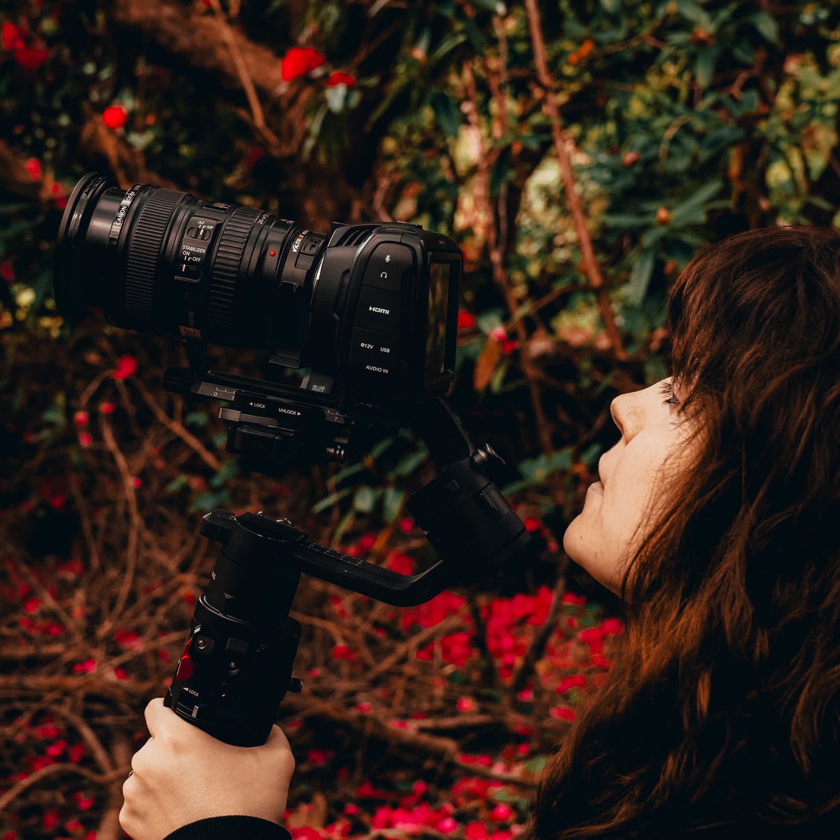 CineMerse tweet media