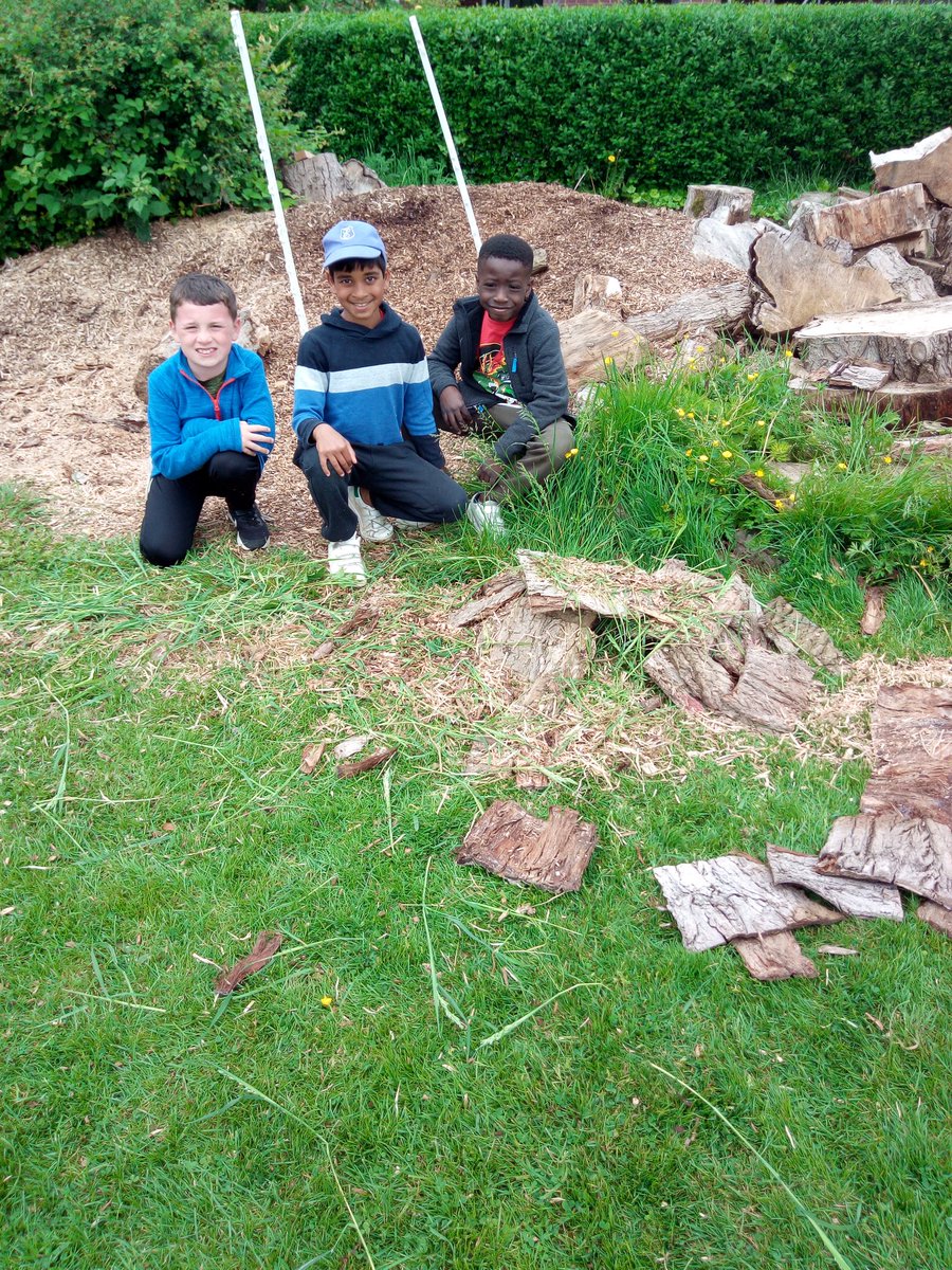 EPSPrep3's tweet photo. Making animal shelters. Prep 3 are so creative!
👍😊
#epsinspire @edenhurstschool https://t.co/mOBhmgDAZo