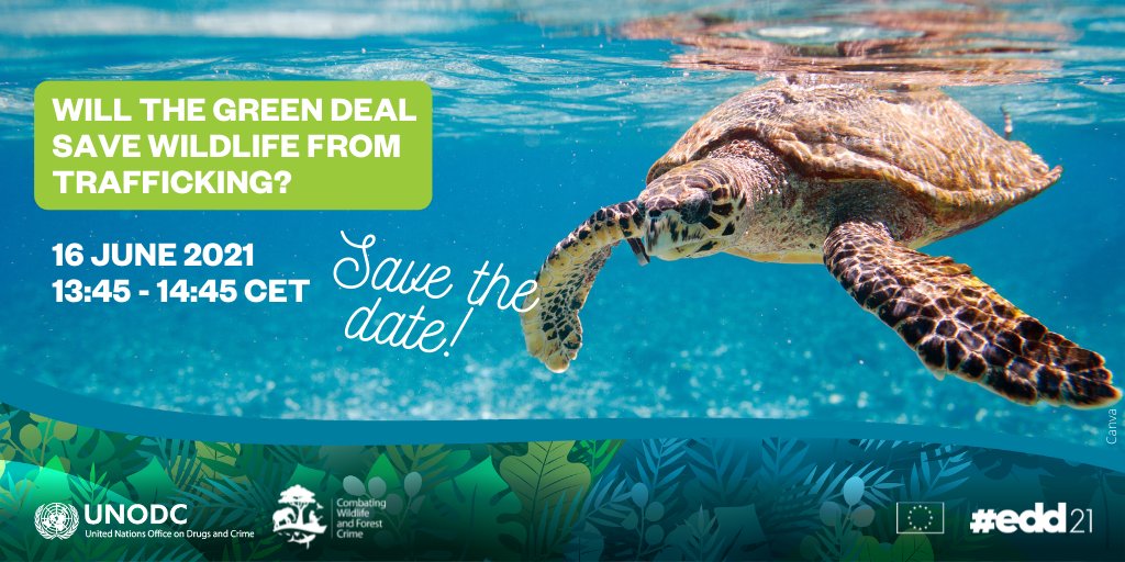 UNODC's tweet photo. 📢 Tune in on 16 June for a discussion on the European Green Deal and whether it will save wildlife from trafficking by cracking down on illegality and corruption.
Register for the European Development Days #EDD21 now.
🔗https://t.co/YHlRT69z4A 
#EndWildlifeCrime #OnEarth https://t.co/9CE7uWaQ9H