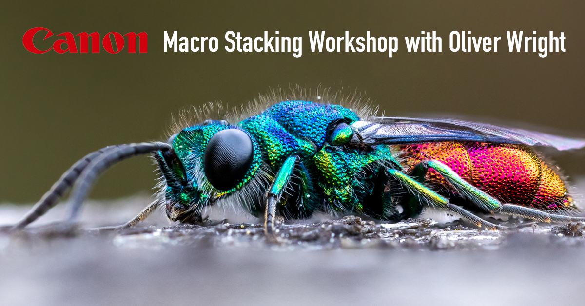 CliftonCameras's tweet photo. Join Canon and Oliver Wright on Saturday 12th June 2021 at 3pm for a LIVE online workshop on 'Macro Stacking'.
👉 https://t.co/Z0lalSa6Oc
#canon #canonphotography #canonworkshop #canonliveevent #macro #macrophotography https://t.co/zFa4eDtgse
