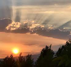 Ed Coffey tweet media