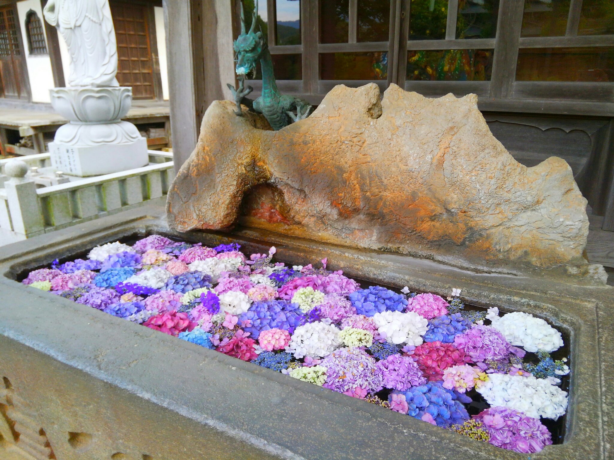 泉子育観音 慶龍寺 当山でも 今年は少し遅いですが花手水をやってみました 明日から紫陽花の花が終わるまでは展示する予定です 花手水は実際に水には触れず 観賞や撮影のみでお願いします 花手水 紫陽花 あじさい 茨城県 つくば市 子育観音