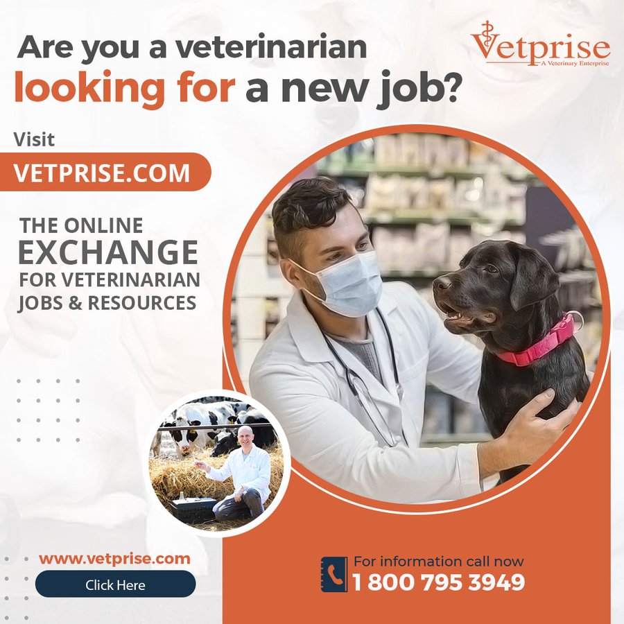 Available Veterinarian (Vet) Jobs Hiring 
