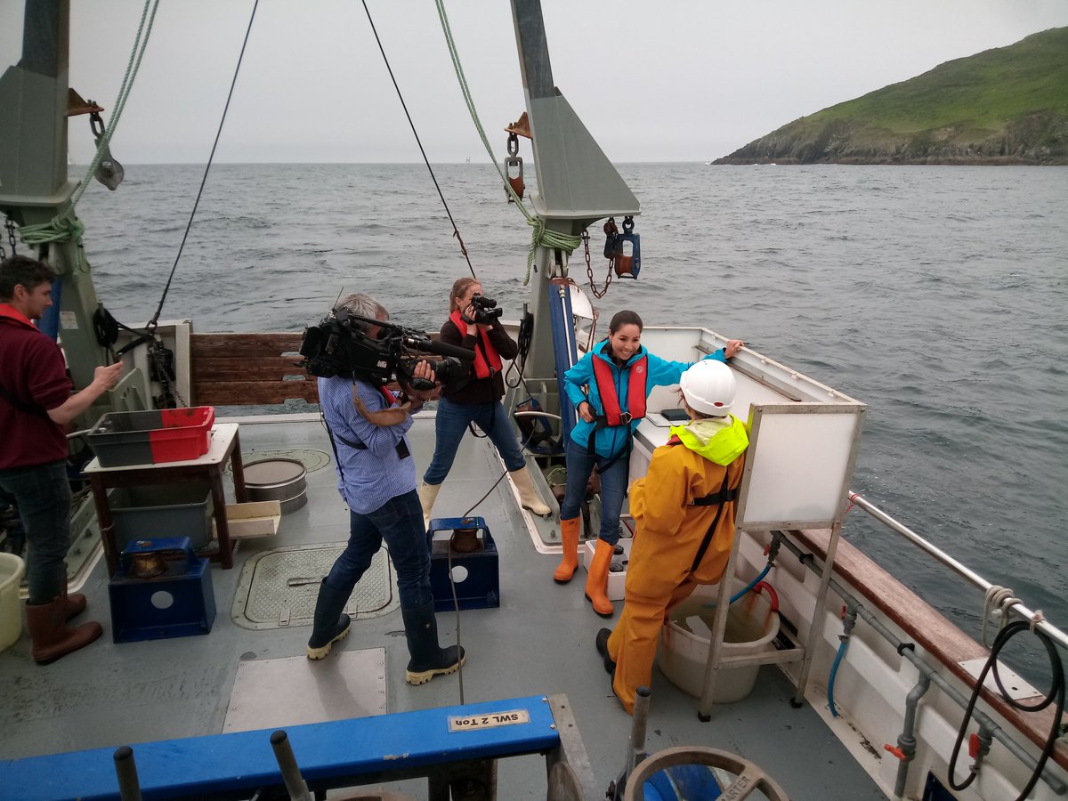 mba_rv's tweet photo. It's been a fun day filming with @CBSNews showcasing the collaborative #DarwinTreeofLife project @SangerToL @thembauk @MBAEcology @MbaCell @CPRSurvey https://t.co/k8Wto5XeLh