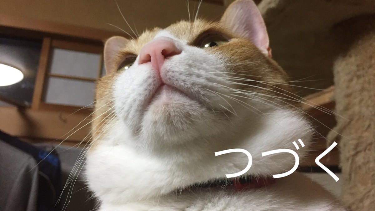 こぶとりじいさん Twitter Search