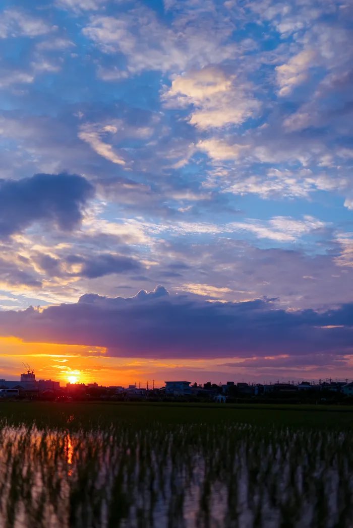 Etiqueta マイケル ジョーダン En Twitter