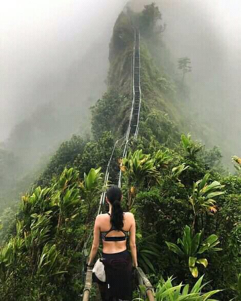 tukwa2's tweet photo. #savetheplanet
#saverainforest
#savetheAmazonRainforest
Somewhere in Hawai
Somewhere in our planet
#plantmoretrees https://t.co/kZGXbErlxU