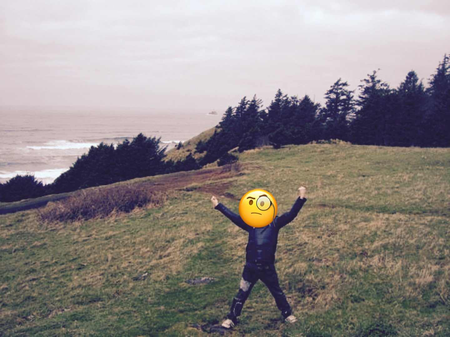 Acnhspidey この位置から島とレストランは見えなくてショックだった ロケ地に行った15年前 マイキー達はレストランと島の間にいるから 映画はcgっぽくなってたんですねー またアストリア行きたい リメイクして欲しい グーニーズ 金曜ロードshow