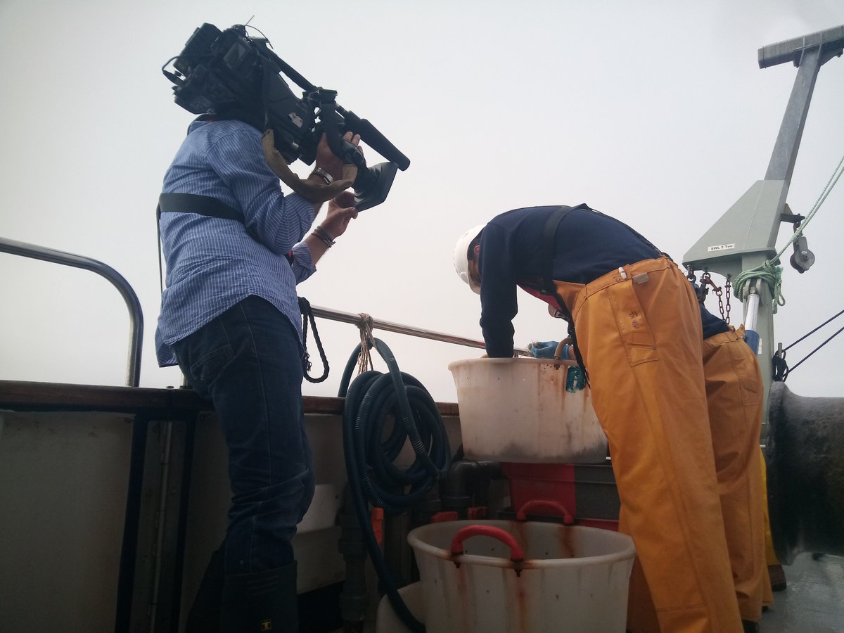 mba_rv's tweet photo. It's been a fun day filming with @CBSNews showcasing the collaborative #DarwinTreeofLife project @SangerToL @thembauk @MBAEcology @MbaCell @CPRSurvey https://t.co/k8Wto5XeLh