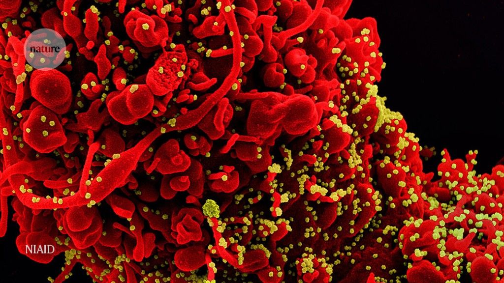 react_magazine's tweet photo. Coronavirus variants get Greek names — but will scientists use them? https://t.co/rMVZbRAEqT via @NatureNV https://t.co/DTpbHReRYD