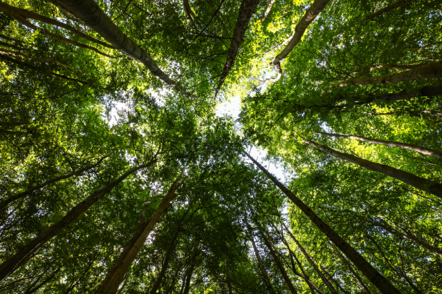 petrahailu's tweet photo. Long overdue and much needed! Excited for #SMI Global CEOs meeting with world leaders at the @G7 to call for a coordinated action to tackle climate change and to protect nature. #TerraCarta https://t.co/ytc2G97A3h https://t.co/r11kiSHZjK