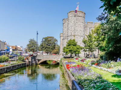 People & Places Insight tweet media