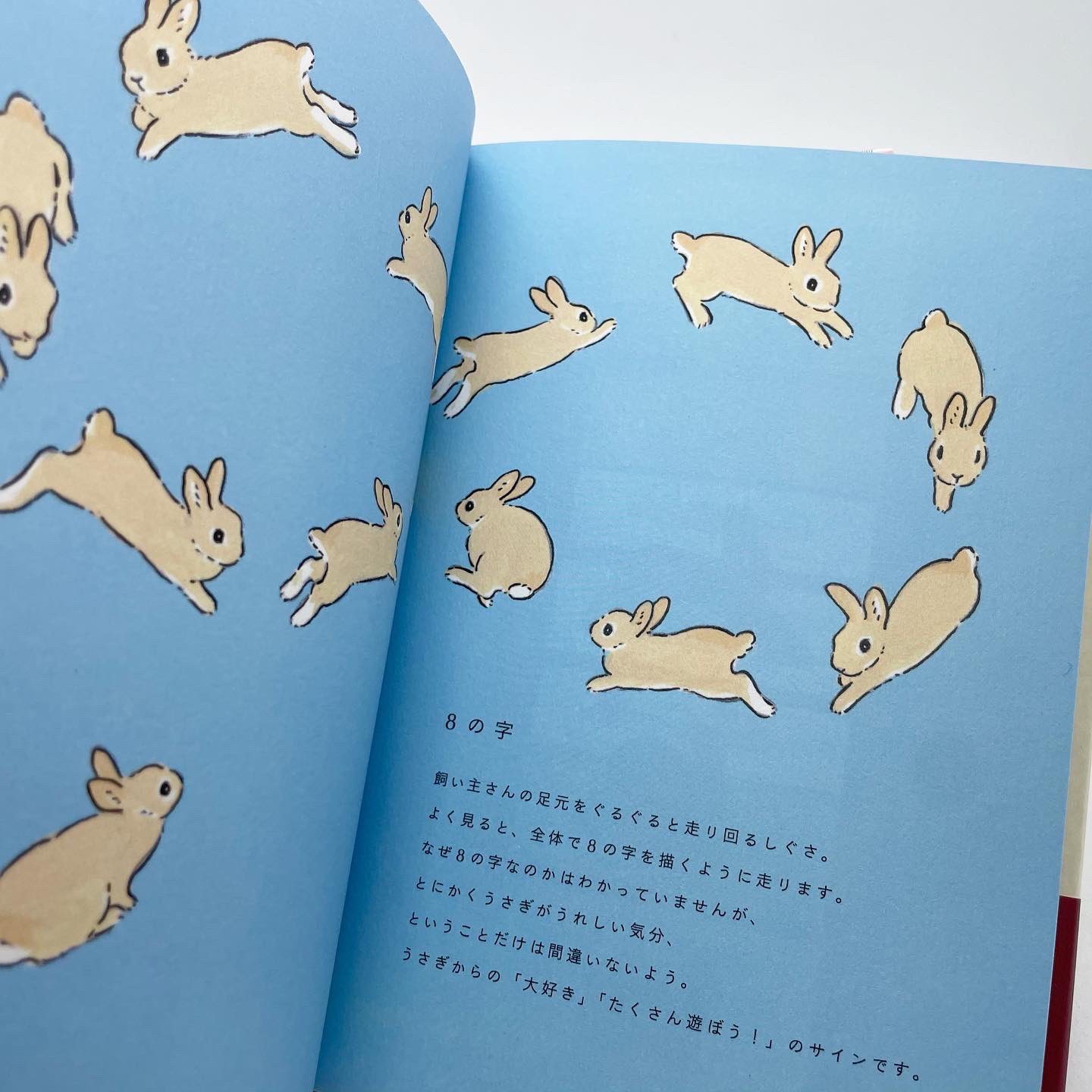 451books うさことば辞典 森山 標子さんのイラストが最高です モフ充 玉 兎 などなど家の中でうさぎと共に暮らす現代のうさ飼いさんの うさことば から 野山を駆ける美しい野生動物としてうさぎを見ていた昔の人々のことばまで うさぎにまつわる