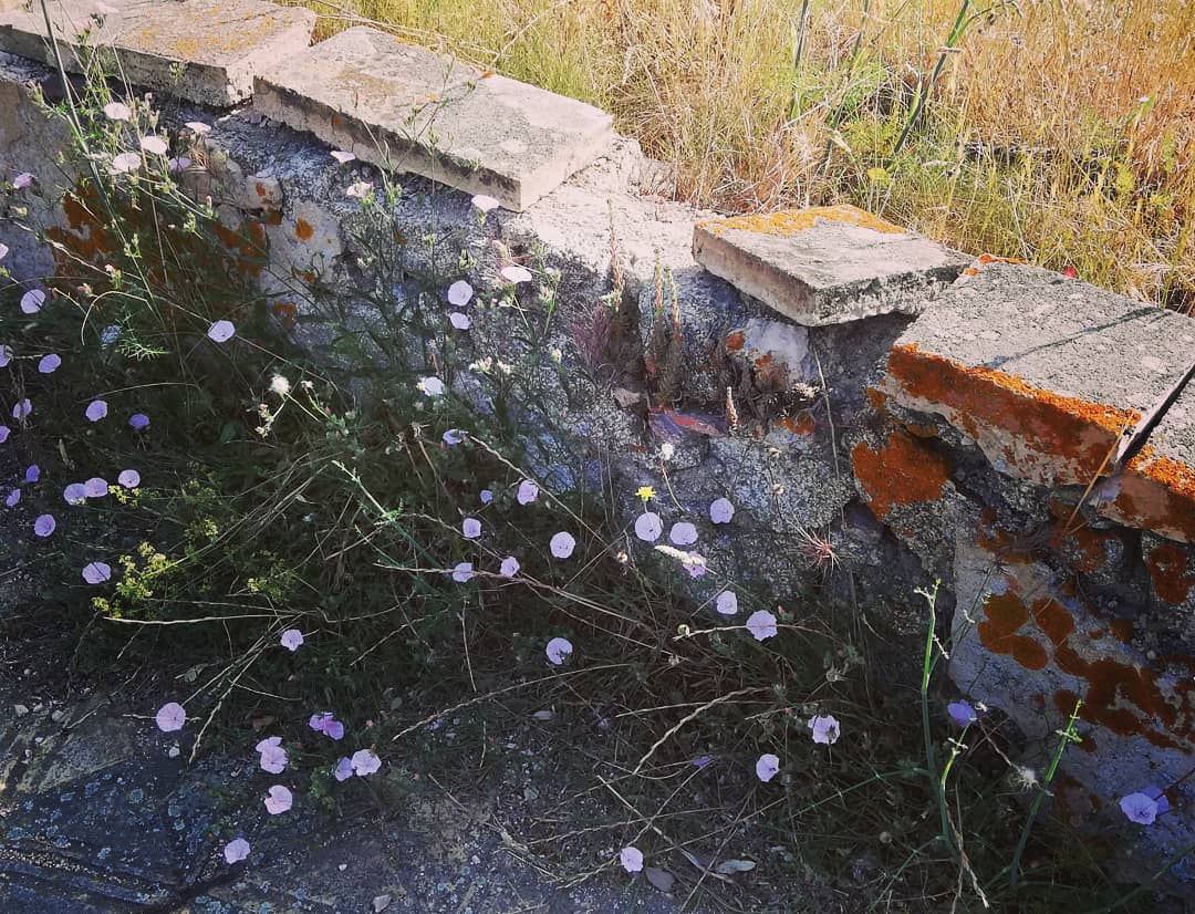 projectegreta's tweet photo. Embardissats buscant elements per fer tallers en obra real. Alguns llocs, millor no tocar-los, a altres els hi podem fer un bé! A vegades la línia entre una cosa i l'altra és molt fina. #projectegavarres #PECTpatrimoni  #ProgramesEuropesDdGI @cgavarres https://t.co/GTJrYartYG