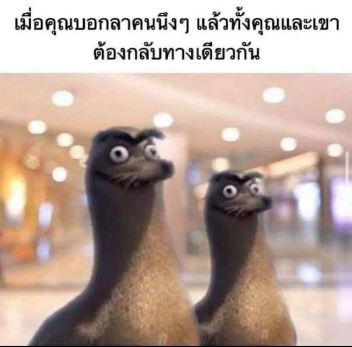 อันนี้โคตรจริง5555555555555555
5555555555555555555555555
5555555555555555555555555
5555555555555555555555555