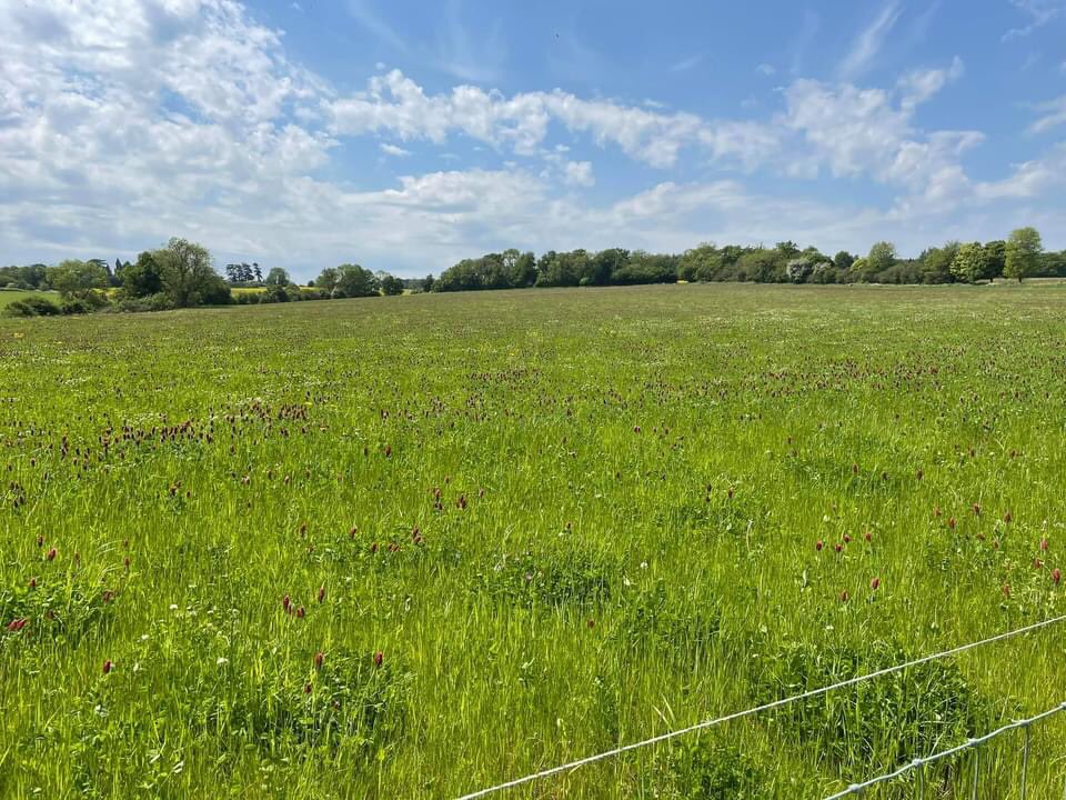 Cornbury House Farm tweet media