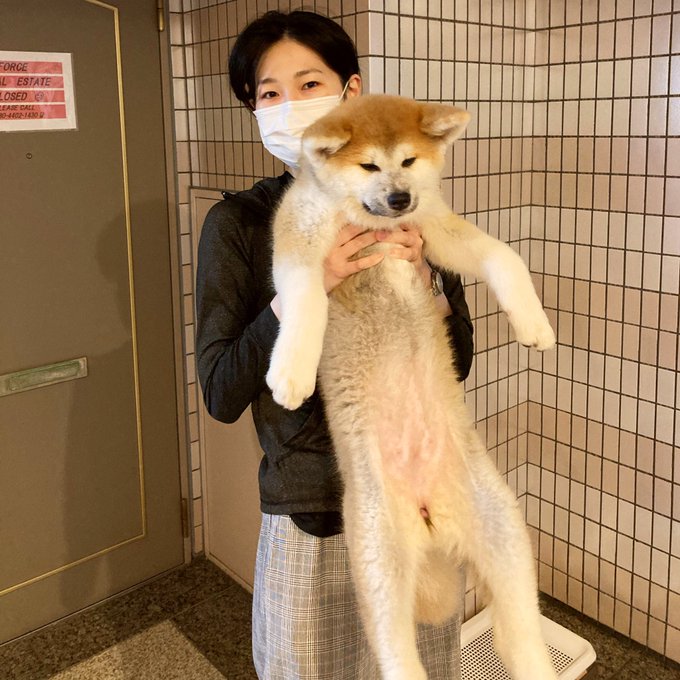 カレー好きのtwitterイラスト検索結果