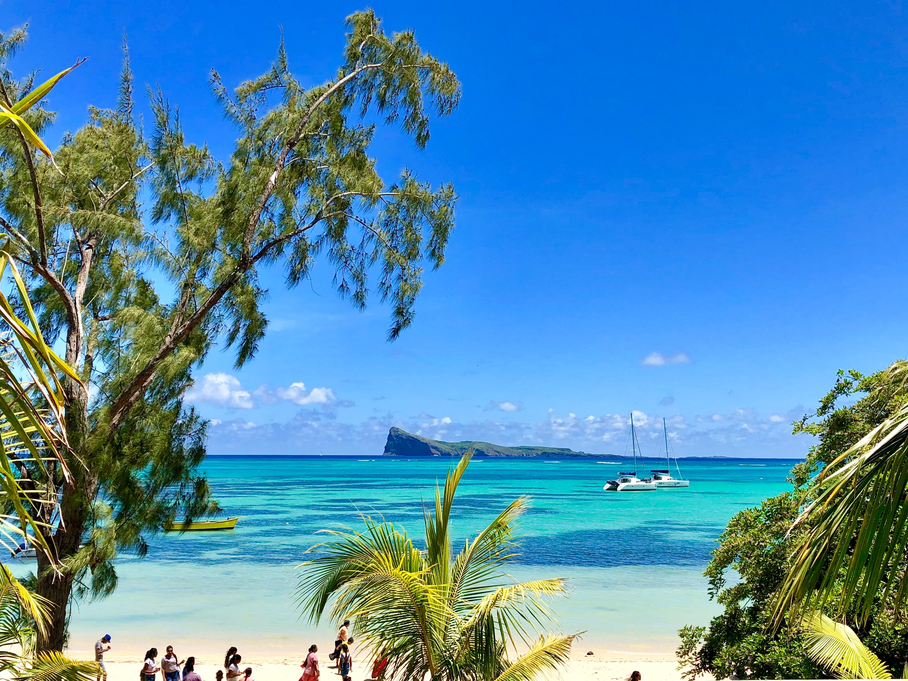 Chat 777 mauritius
