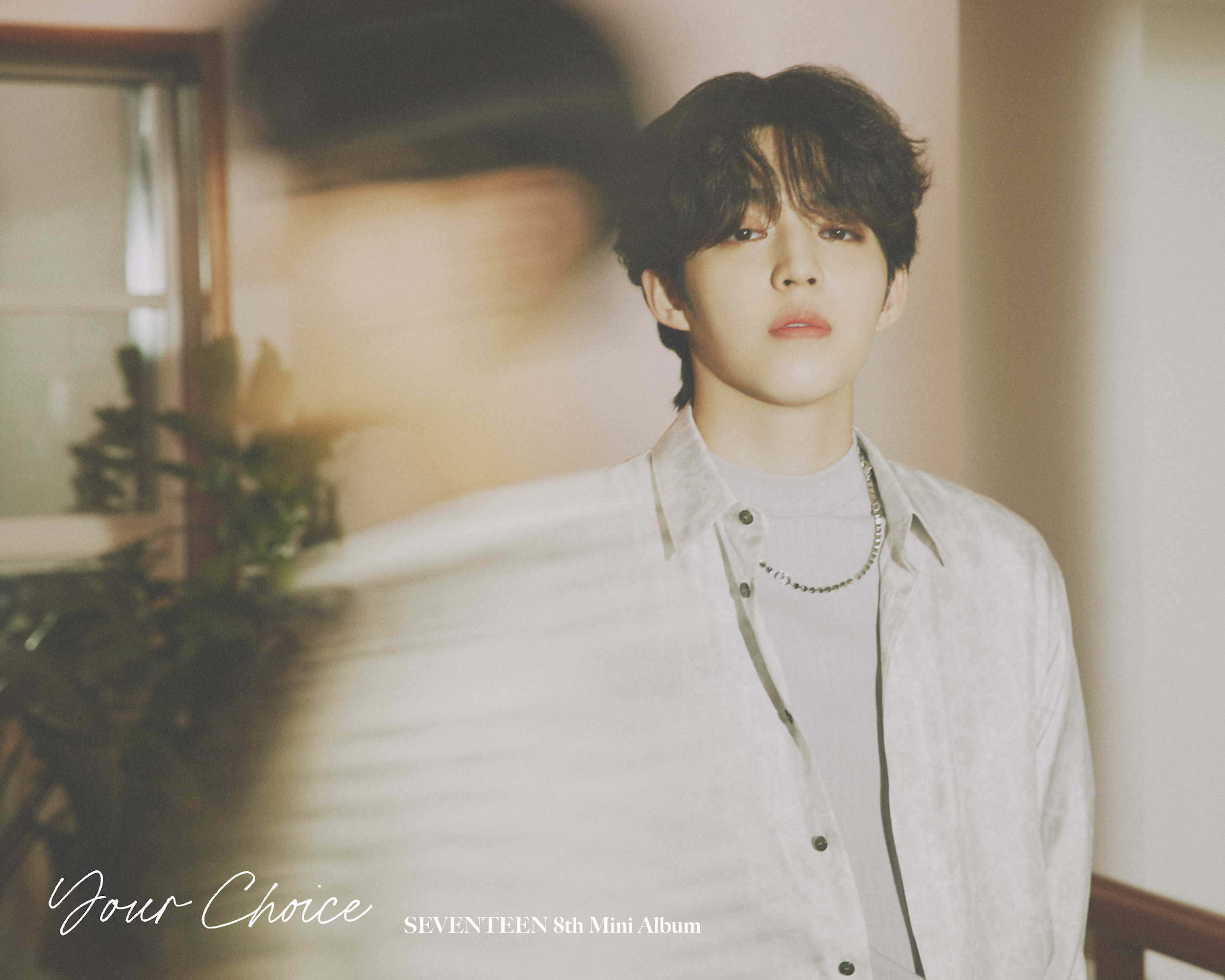 Seventeen 8th Mini Album Your Choice Official Photo Beside Ver 1 Celebrity Photos Videos Onehallyu