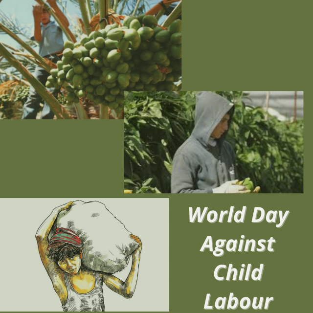 On the #WorldDayAgainstChildLabour, we remind the world that our children at Israeli workplaces are exposed to all kinds of abuses. Our report "The Reality For Palestinian Children Under Apartheid" shows a glimpse of this exploitation. 
Find it below
newunions.wordpress.com/2021/06/11/the…