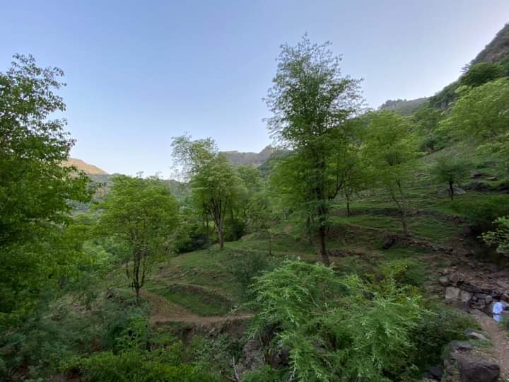 شق الظما قلبي واشعل في عروقي الدماء والشوق لا يطفيه شنان ماء والحب لا يرويه ماء السماء
مكانني ظمان