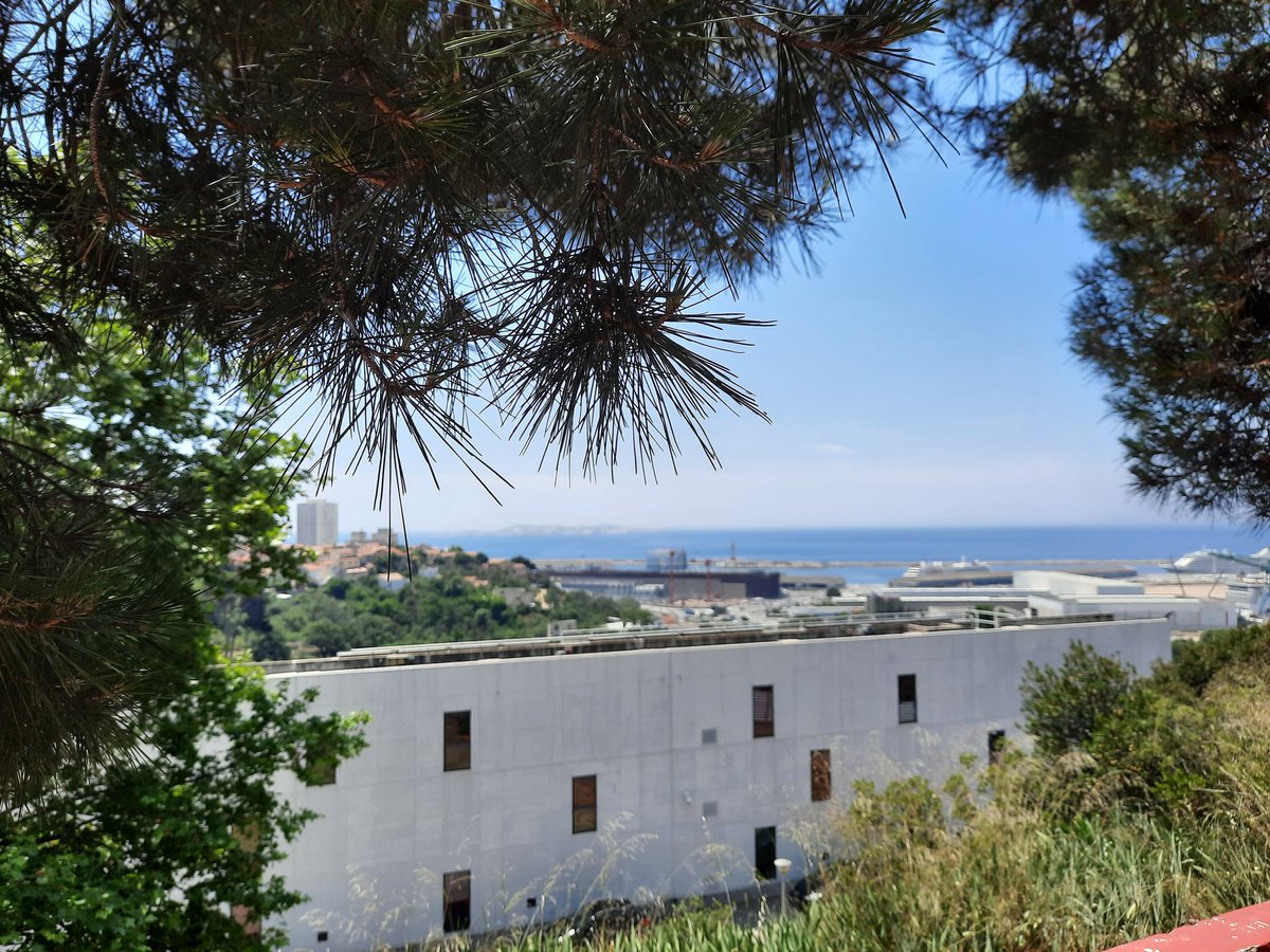 Eric Valmir tweet media