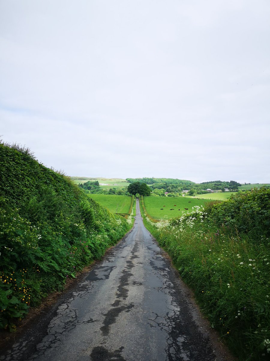 Beerdo_El's tweet photo. Last minute decision to go up and over the Carrick Hills today, even more of a last minute decision to go up to the Masts. Can definitively and categorically state I have now made it to the gate at the very top #ayrodynamictriathlonclub #notritraining https://t.co/wOXTAhoaeB