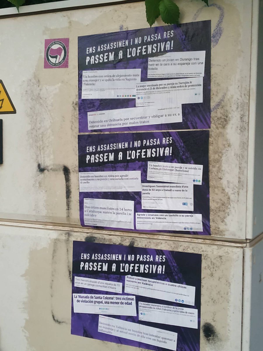 Maleïdes Col.lectiu Feminista tweet media