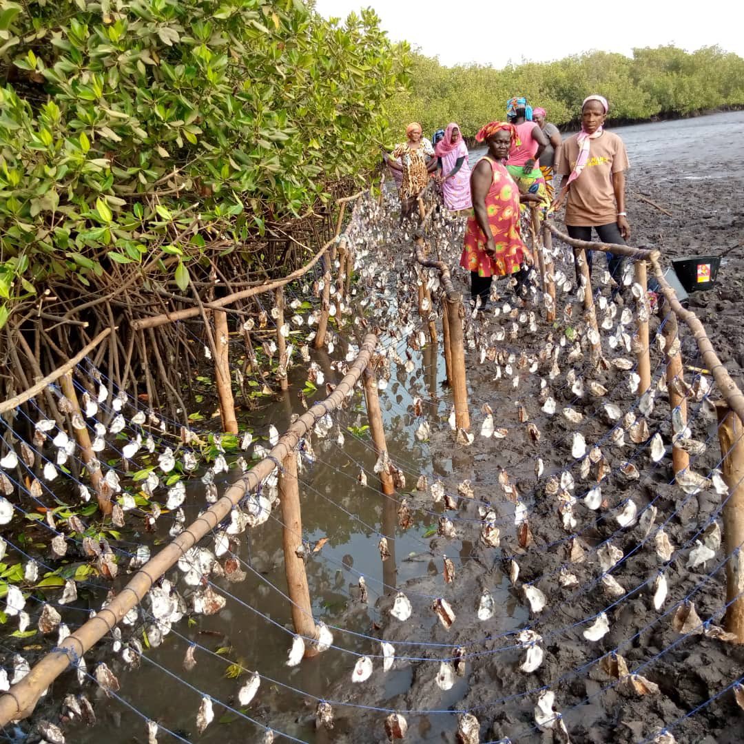 💫Nebeday 🌱♻️ tweet media