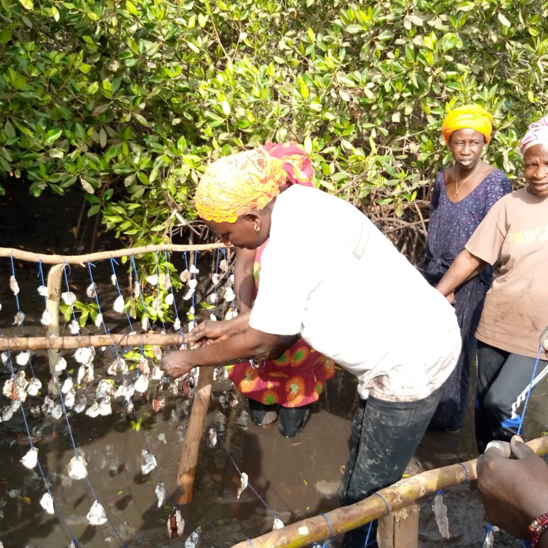 💫Nebeday 🌱♻️ tweet media